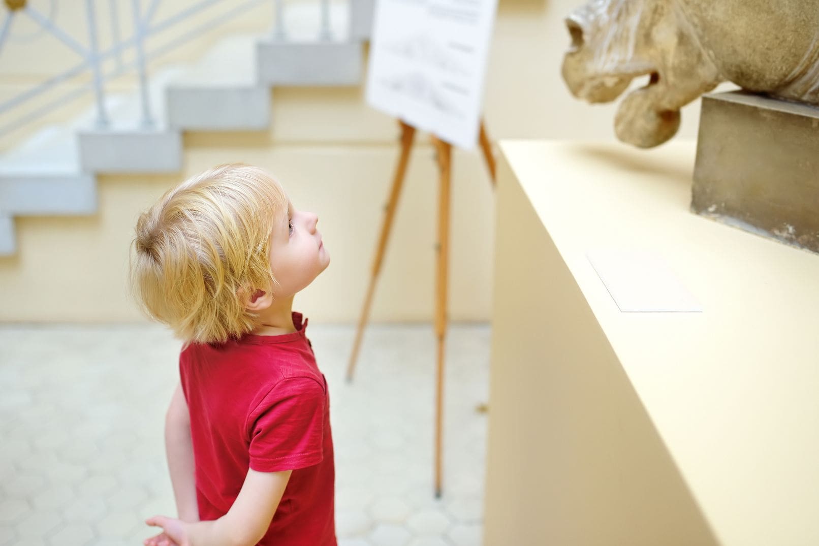 Επίσκεψη σε μουσείο
