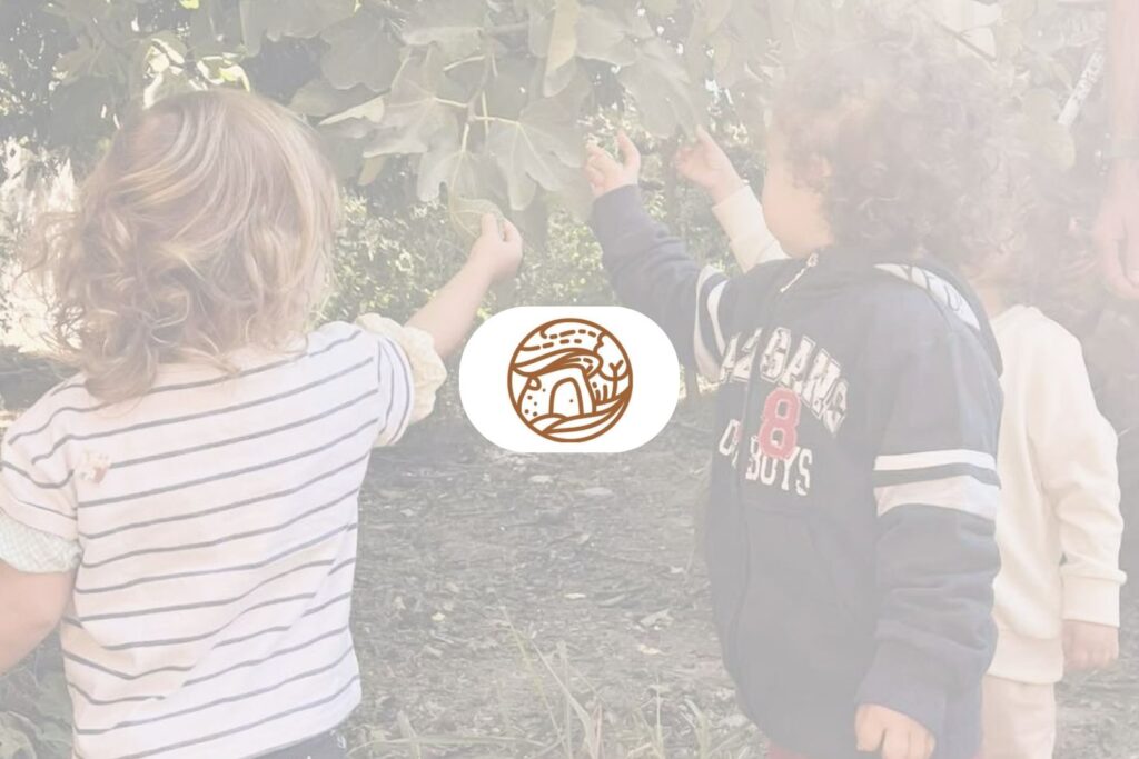 cob eksofyllo